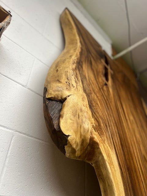 Plateau Suar 120x48x3''