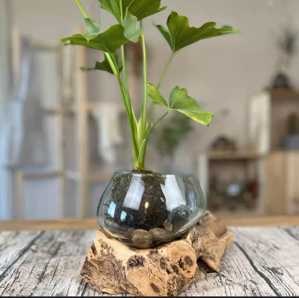 Vase in wood and blown glass Ø3" - Kif-Kif Import