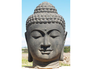 Cabeza de Buda - Importación de Kif-Kif