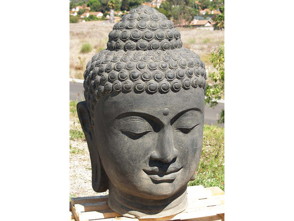 Cabeza de Buda - Importación de Kif-Kif